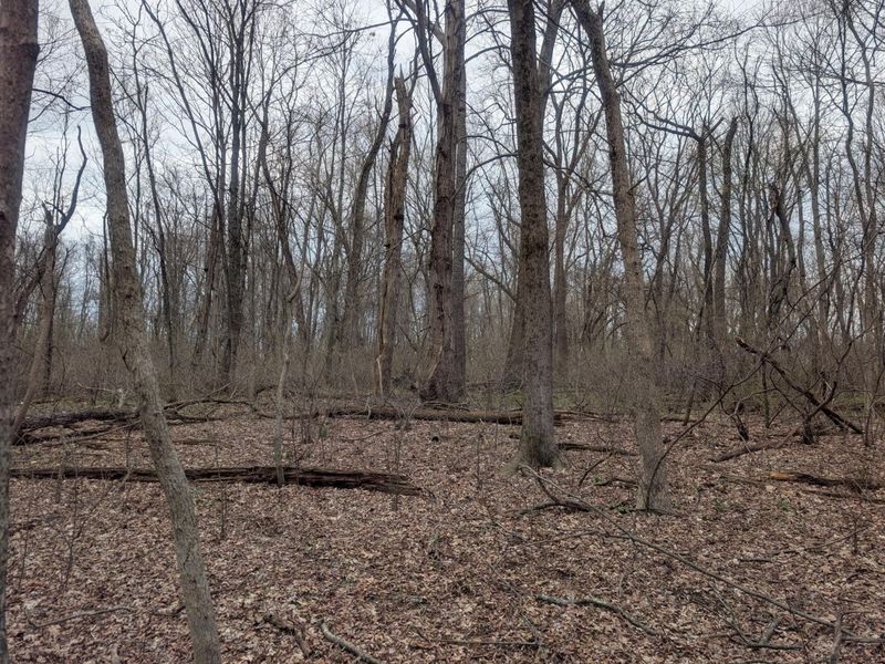 0 High , Somerset, OH 43783 Photo 8