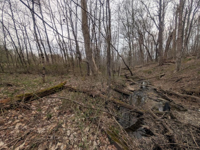 0 N Columbus Street , Somerset, OH 43783 Photo 5