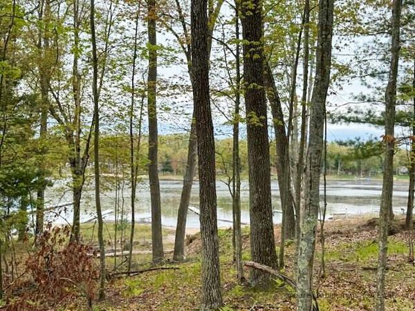 8533 W Katie Lane, Baldwin, MI 49304