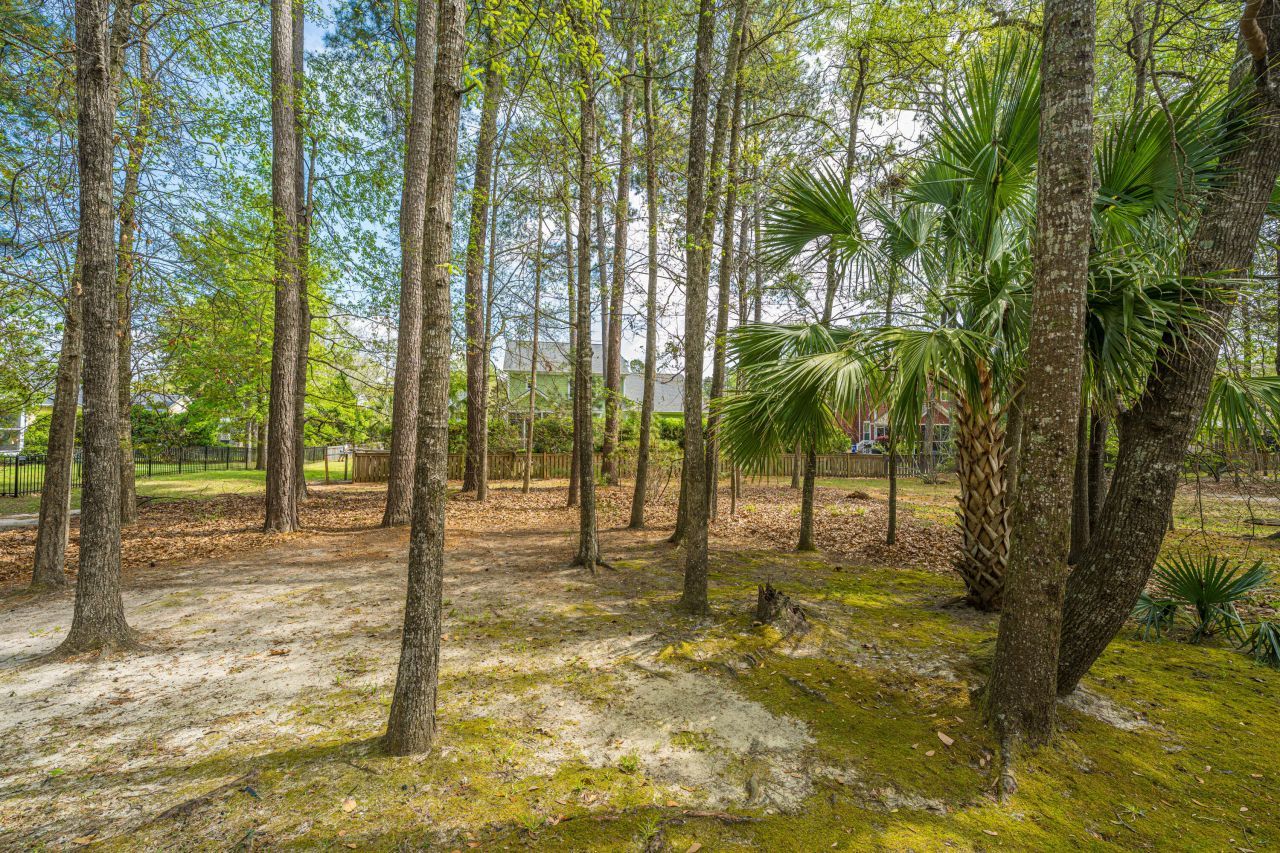 1903 Hall Point Road Photo 25