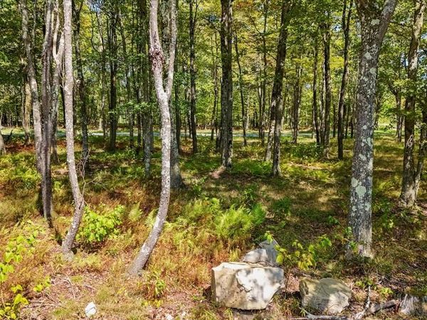 Lot 20 GREEN JACKET CT, MC HENRY, MD 21541