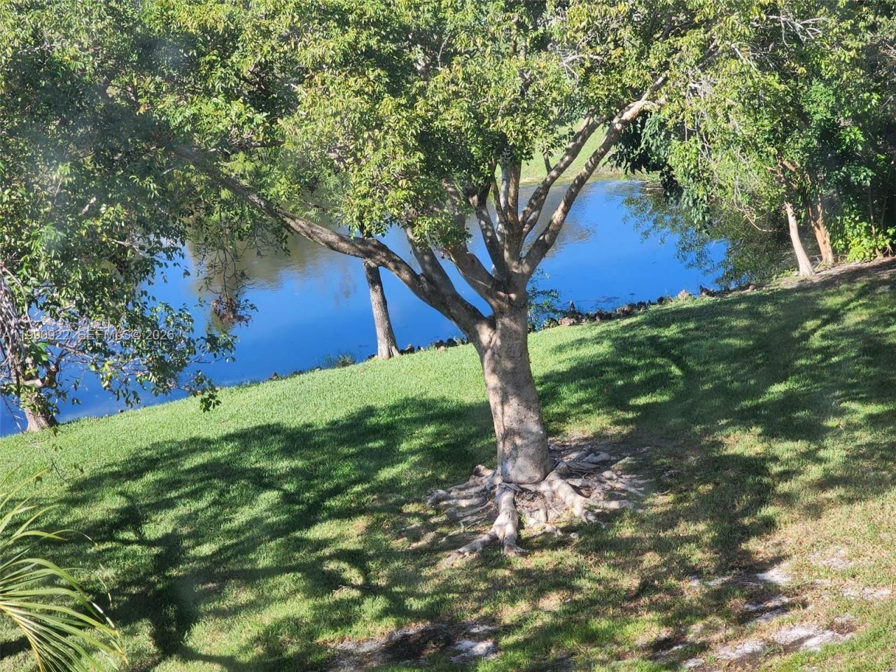 8370 Sands Point Blvd, Unit H303, Tamarac, FL 33321 Photo