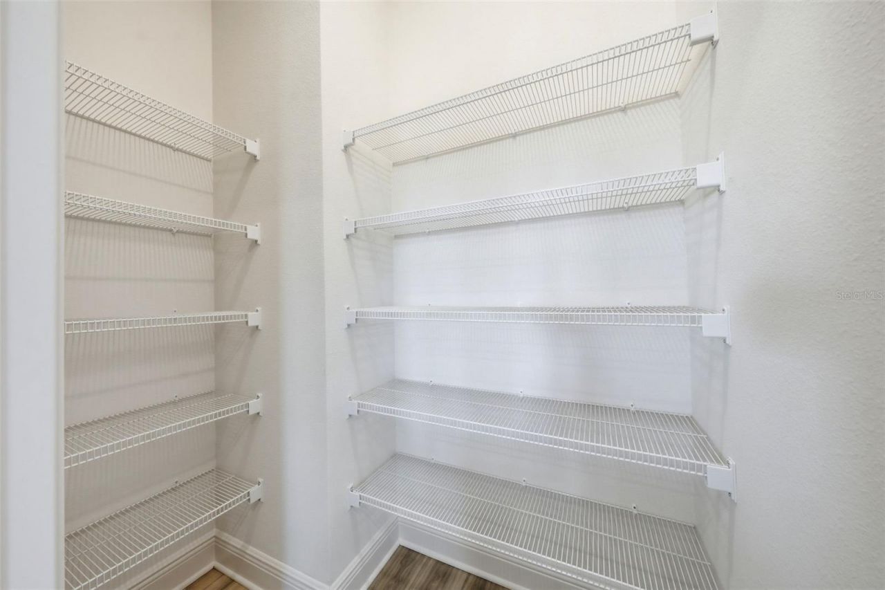 3339 Chinotto Drive, Lake Alfred, FL 33850 Photo