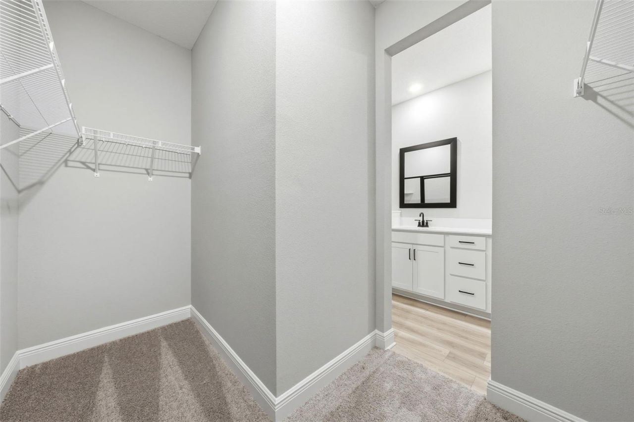 3339 Chinotto Drive, Lake Alfred, FL 33850 Photo