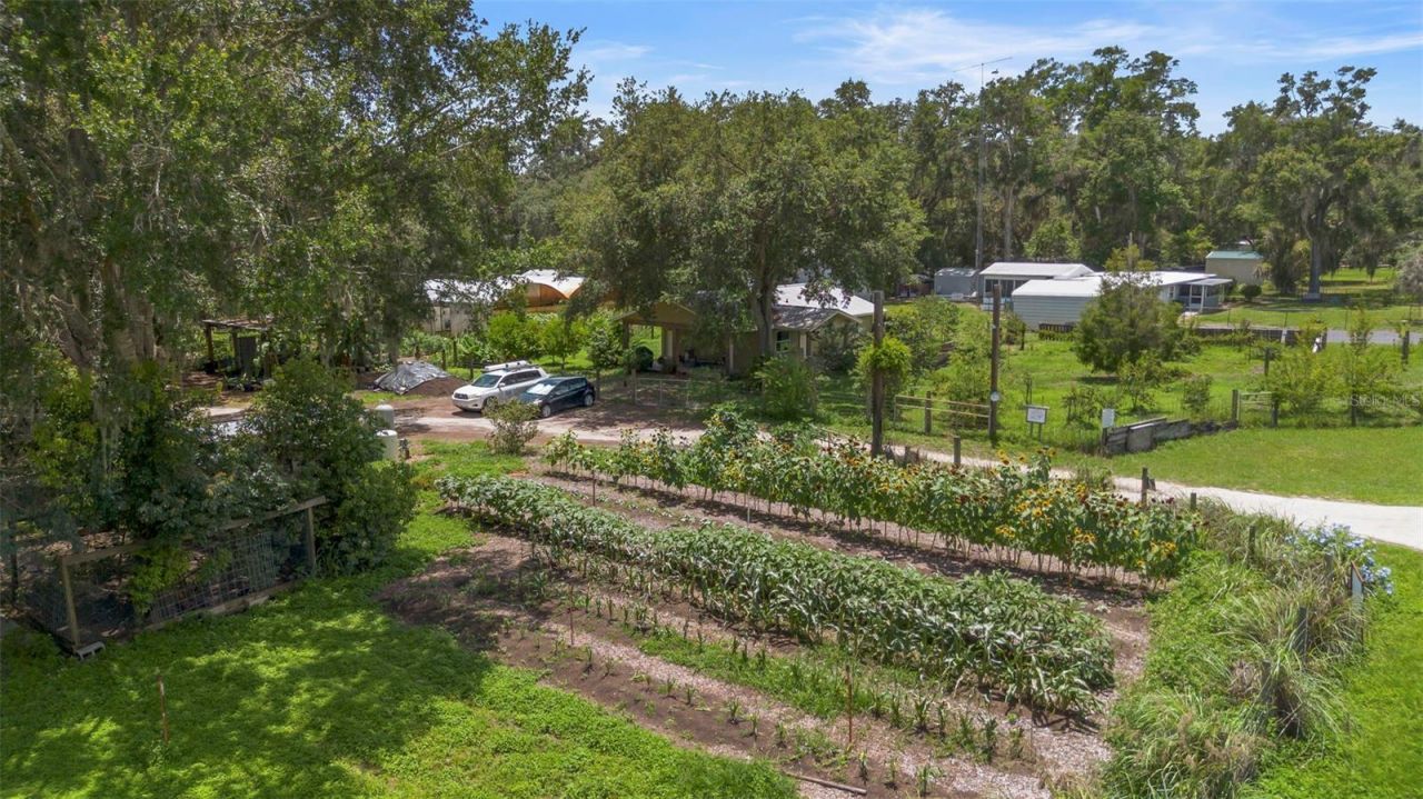 2026 Lewis Road, Leesburg, FL 34748 Photo