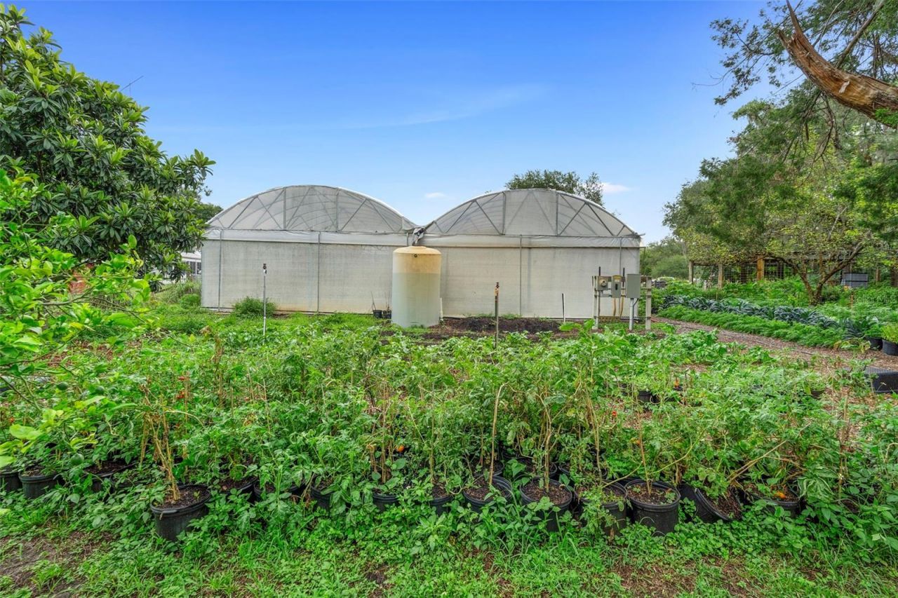 2026 Lewis Road, Leesburg, FL 34748 Photo