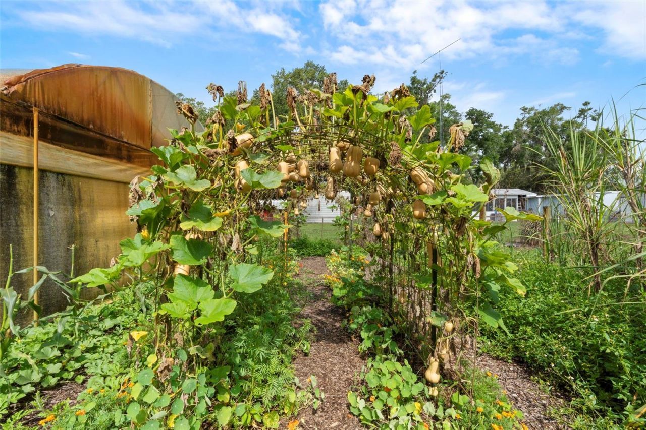 2026 Lewis Road, Leesburg, FL 34748 Photo