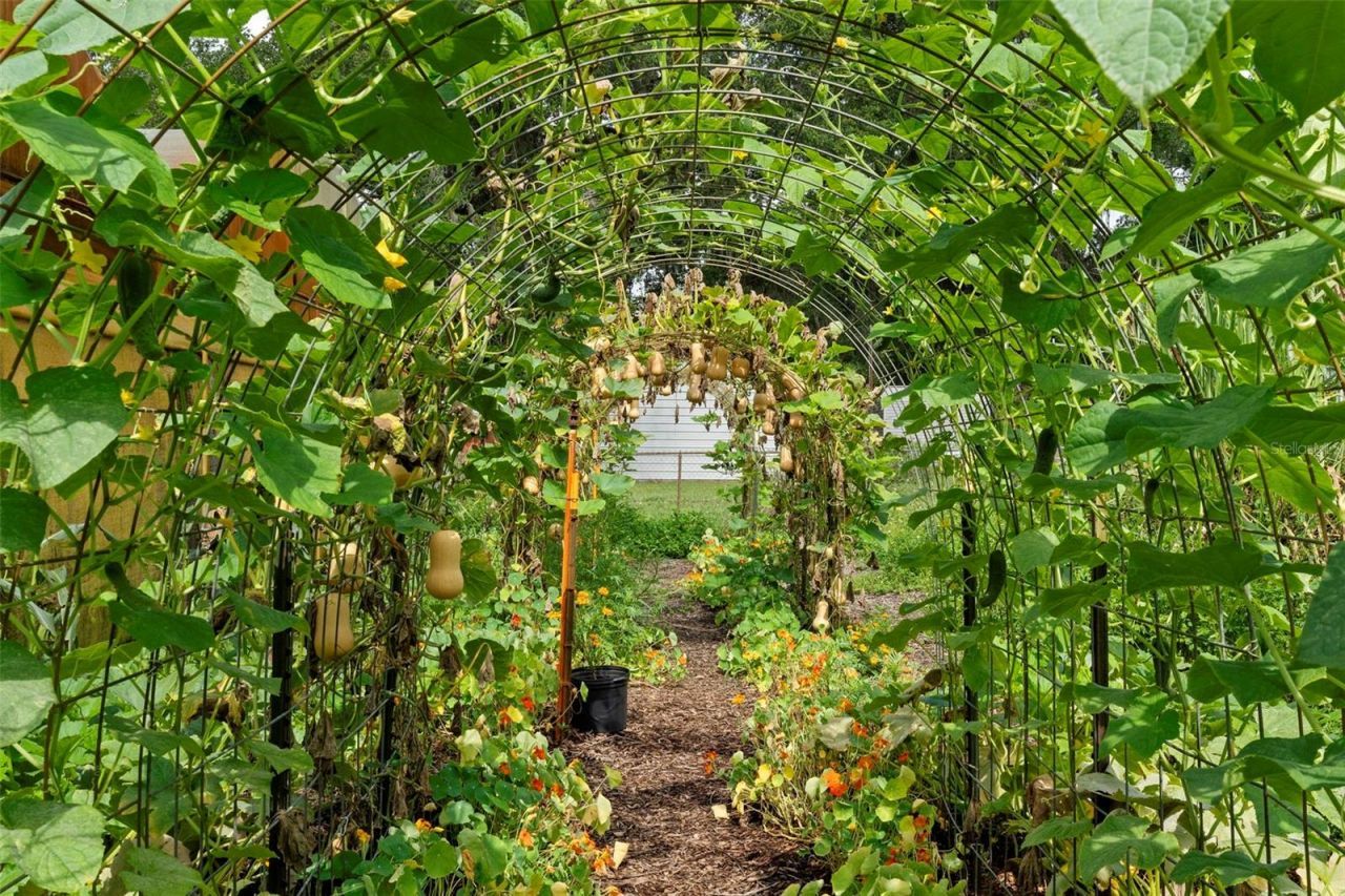 2026 Lewis Road, Leesburg, FL 34748 Photo