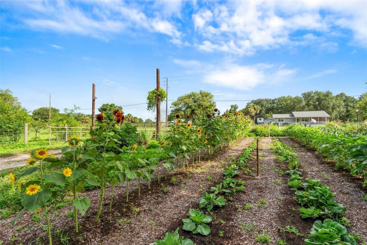 2026 Lewis Road, Leesburg, FL 34748 Photo