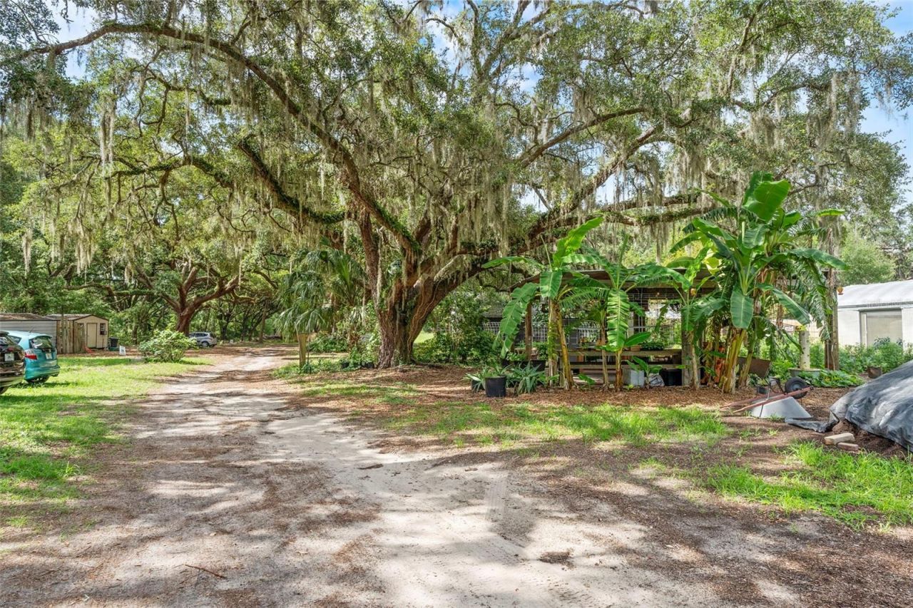 2026 Lewis Road, Leesburg, FL 34748 Photo