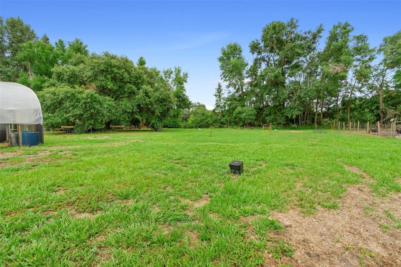 2026 Lewis Road, Leesburg, FL 34748 Photo