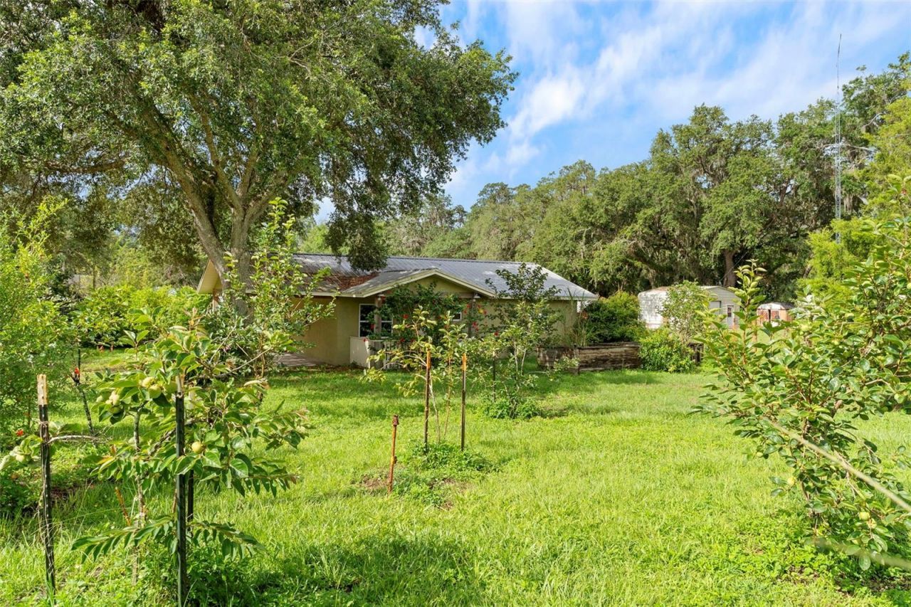 2026 Lewis Road, Leesburg, FL 34748 Photo
