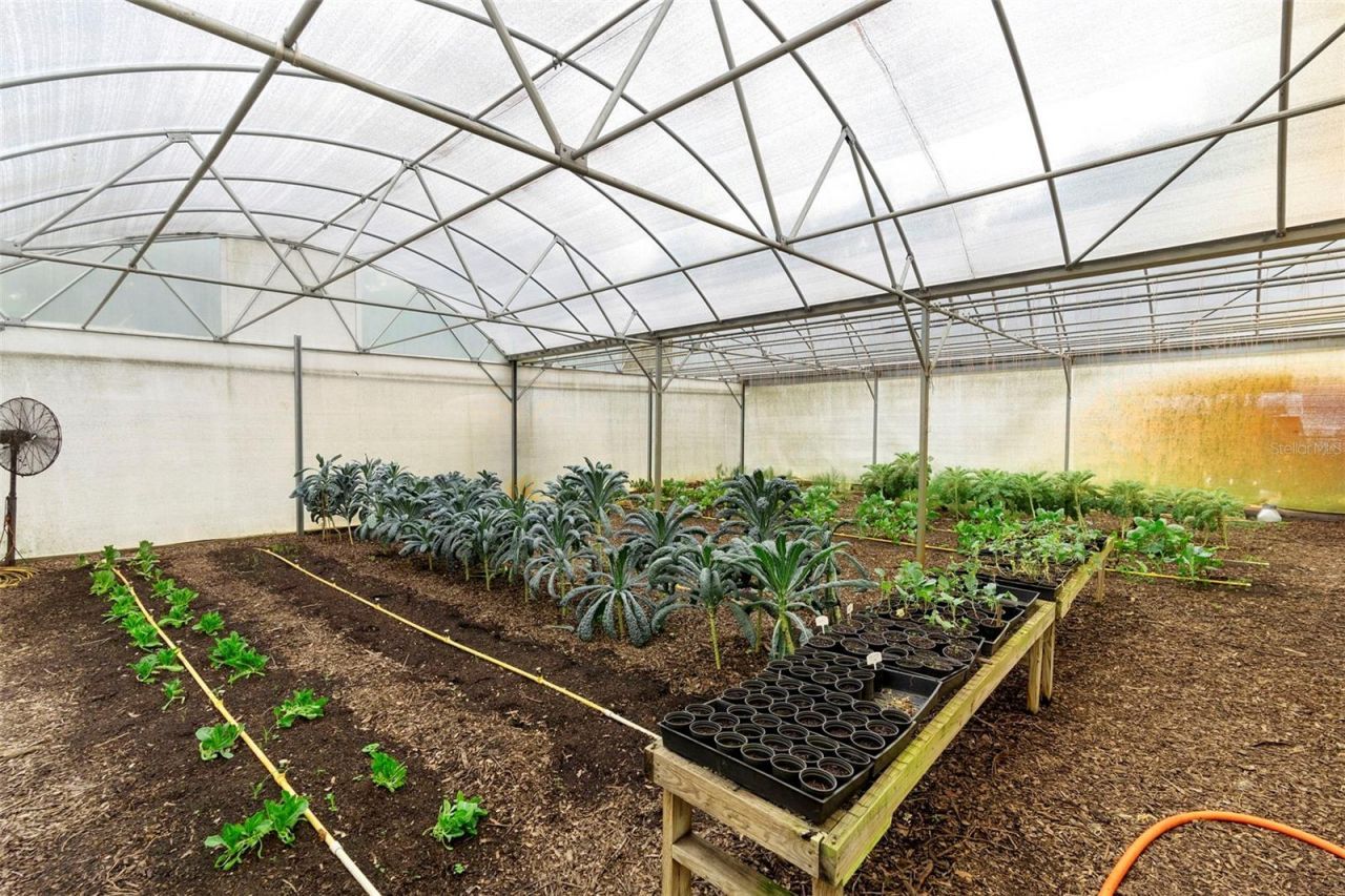 2026 Lewis Road, Leesburg, FL 34748 Photo