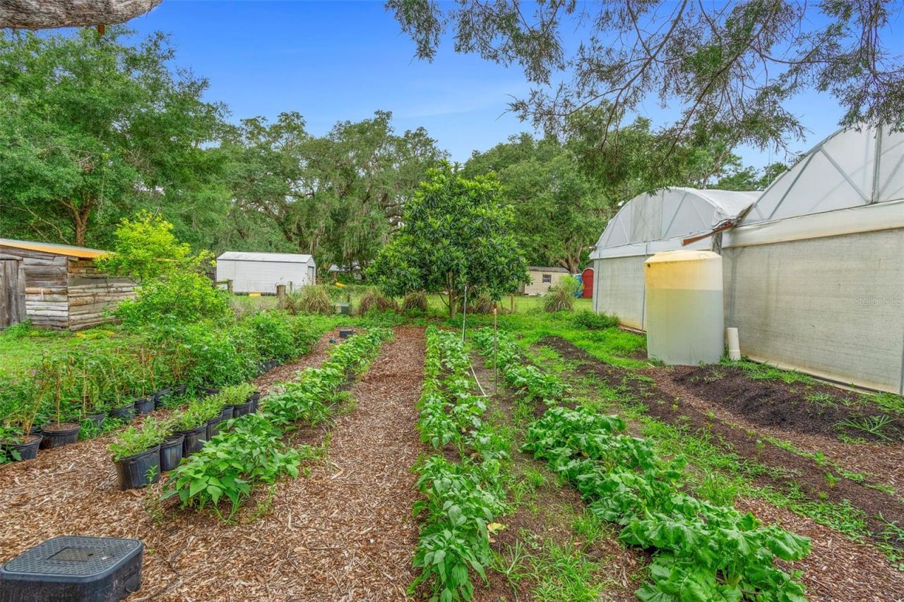 2026 Lewis Road, Leesburg, FL 34748 Photo