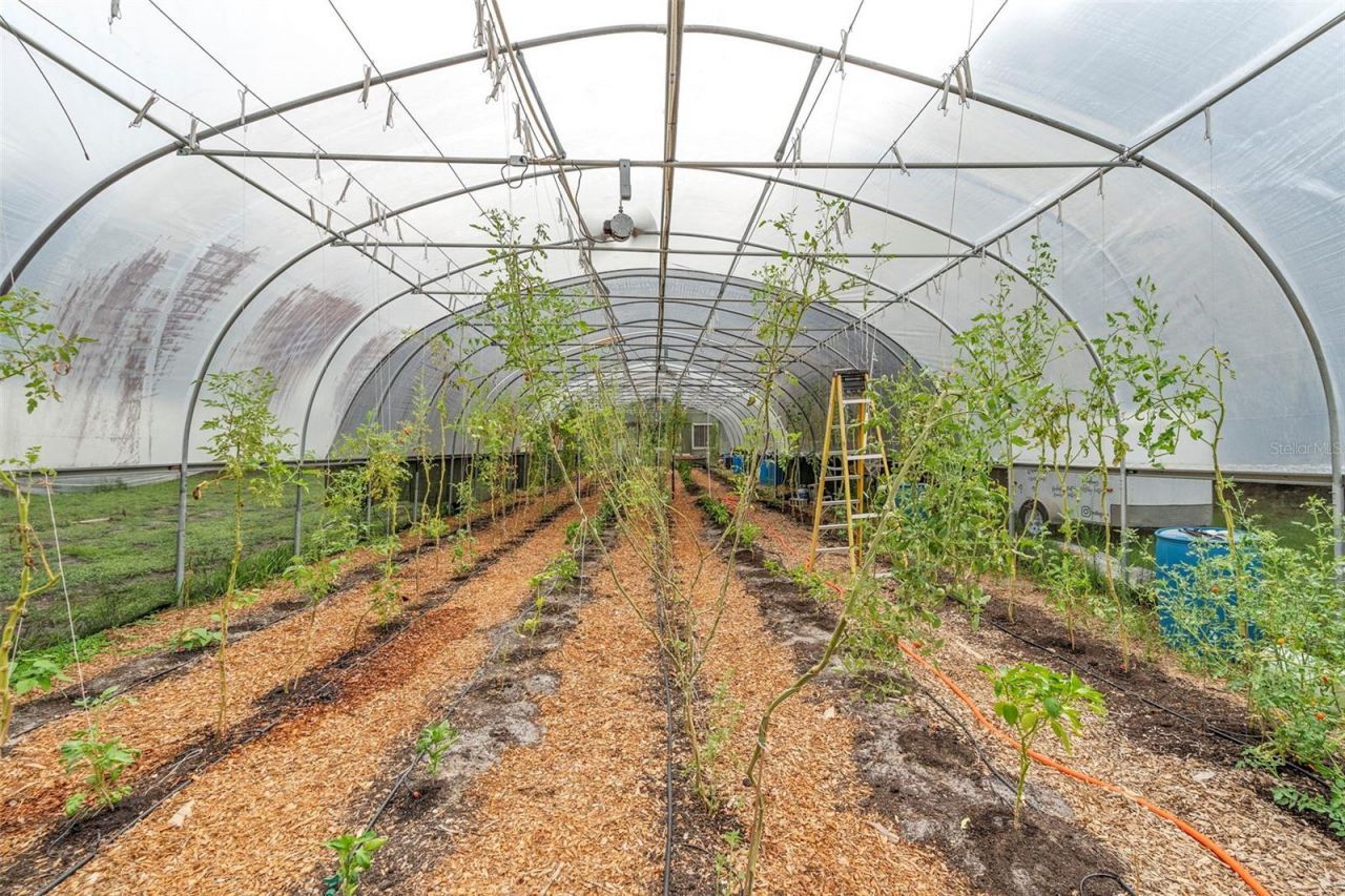 2026 Lewis Road, Leesburg, FL 34748 Photo