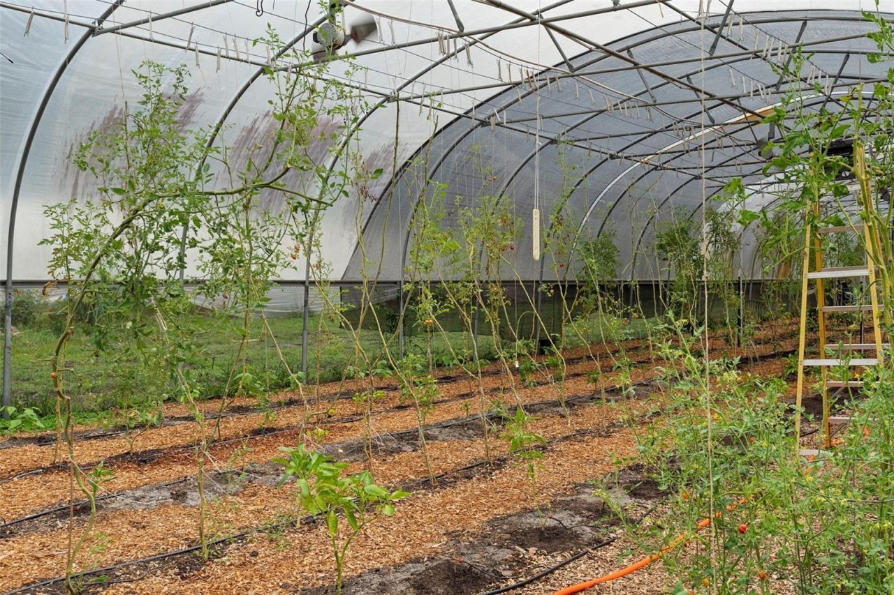 2026 Lewis Road, Leesburg, FL 34748 Photo