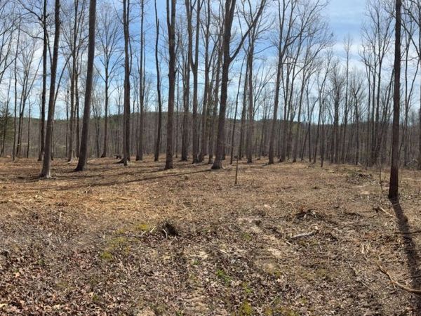 13 Shelton Cemetery Road , Cumberland Furnace, TN 37051