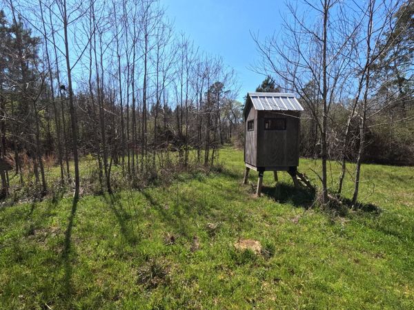 17565 Ms-27 , Utica, MS 39175