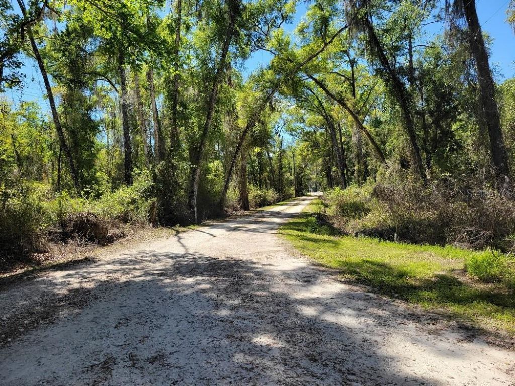 22397 Mondon Hill Road, Brooksville, FL 34601 Photo