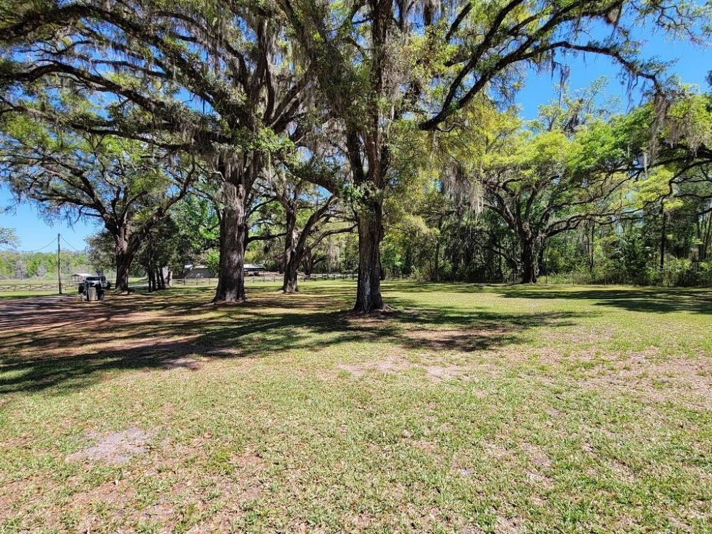 22397 Mondon Hill Road, Brooksville, FL 34601 Photo