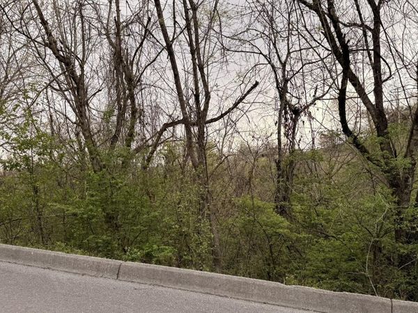 Lot 4 Hideaway Ridge Circle, Sevierville, TN 37876