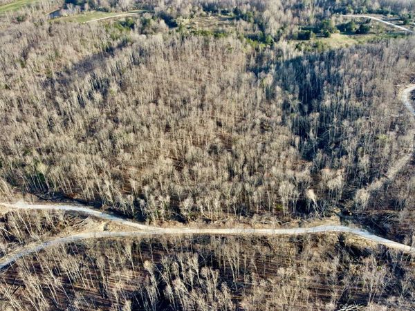 Lot#8 Mill Creek Rd, Sunbright, TN 37872