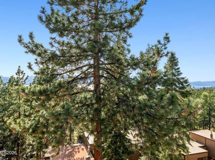 133 Holly Lane, Stateline, NV 89449 Photo