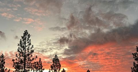 133 Holly Lane, Stateline, NV 89449 Photo