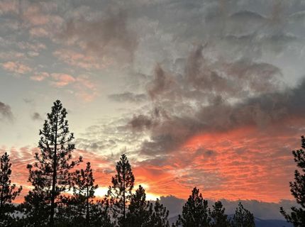 133 Holly Lane, Stateline, NV 89449 Photo