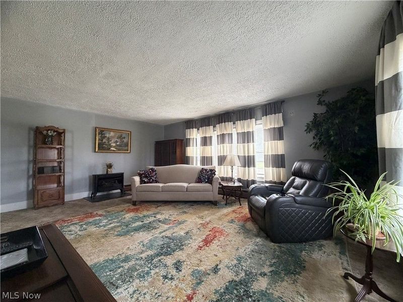 87 N Mechanic Street, Hayesville, OH 44838 Photo 12