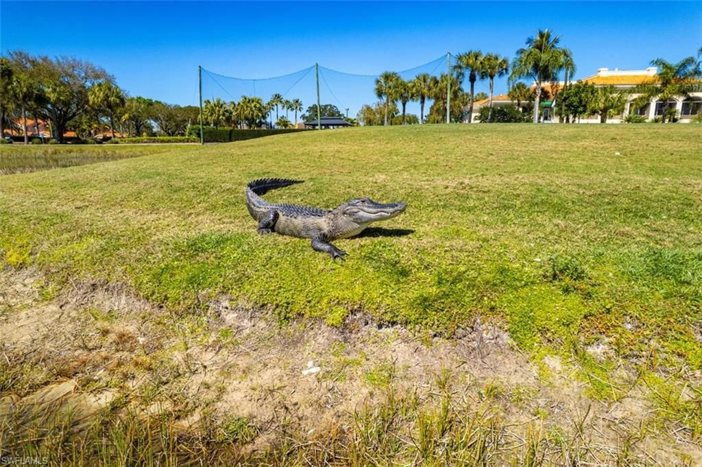 26483 Bonita Fairways Blvd, Bonita Springs, FL 34135 Photo