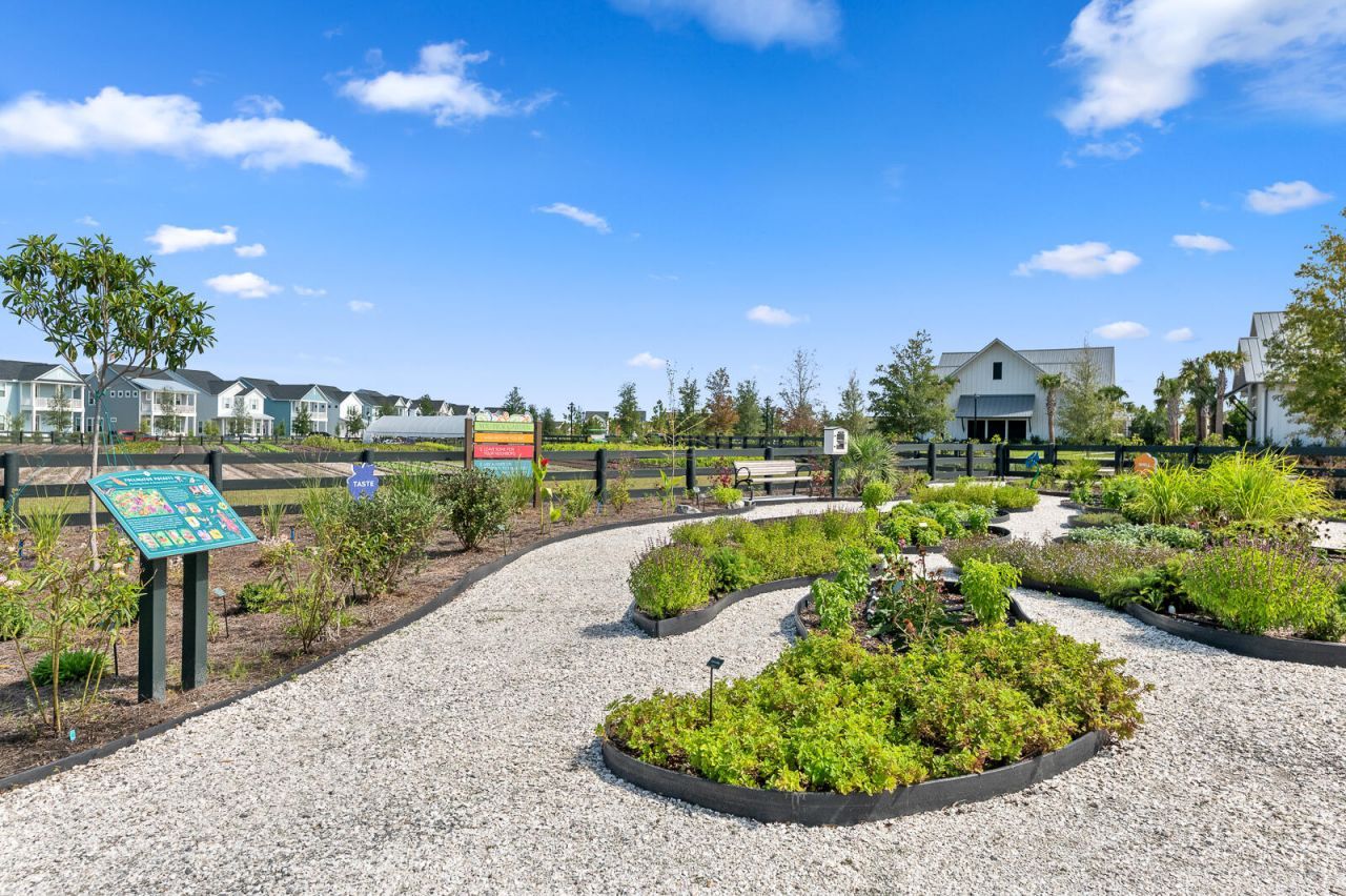 105 Bloomsbury Street Photo 25