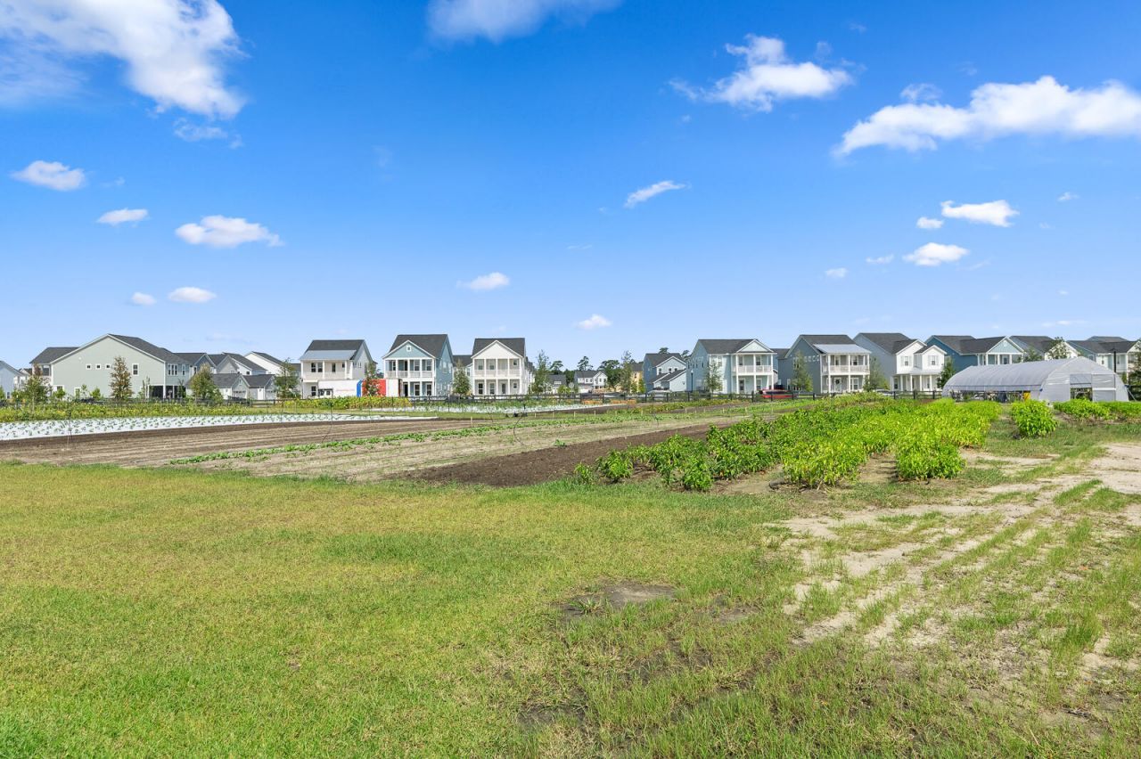 105 Bloomsbury Street Photo 26