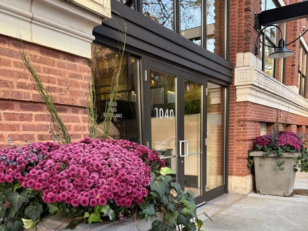 1040 W Adams Street , Unit 346, Chicago, IL 60607