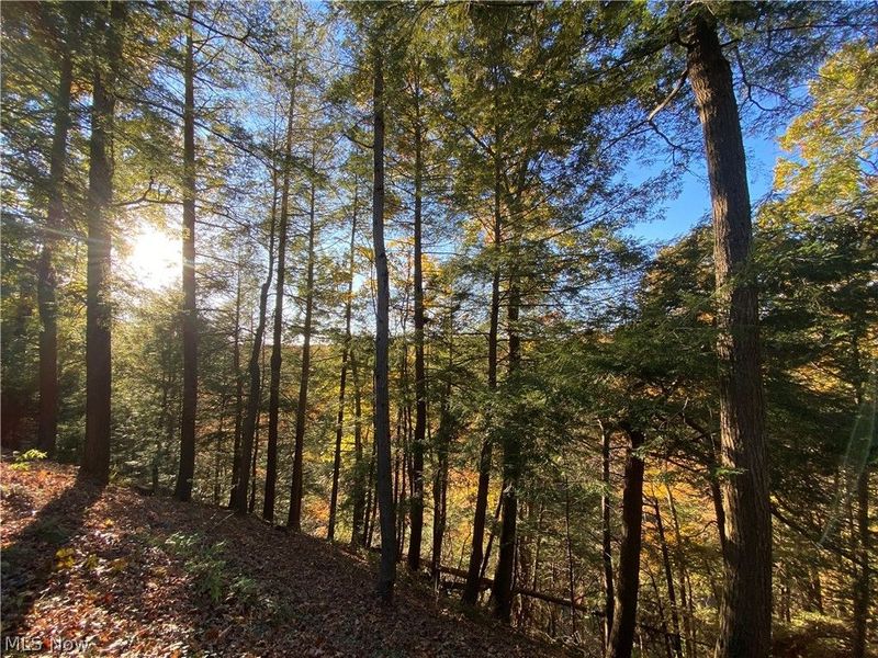 1200 Yellow Creek Lane, Akron, OH 44333 Photo 32