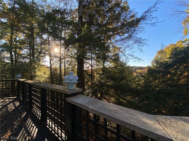 1200 Yellow Creek Lane, Akron, OH 44333 Photo 20