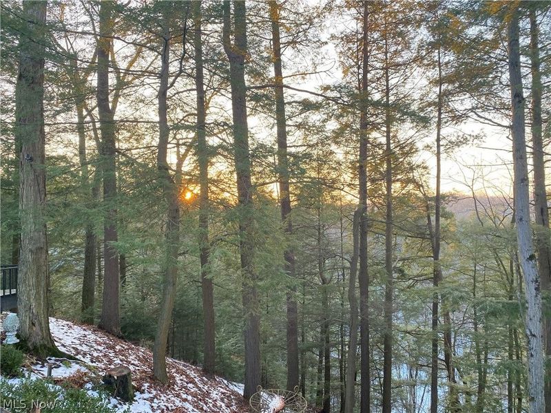 1200 Yellow Creek Lane, Akron, OH 44333 Photo 33