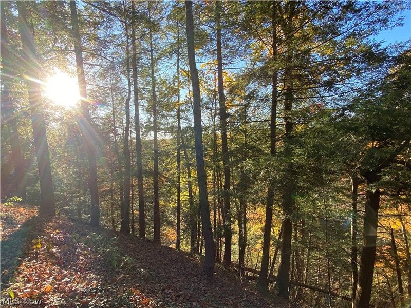 1200 Yellow Creek Lane, Akron, OH 44333 Photo 35