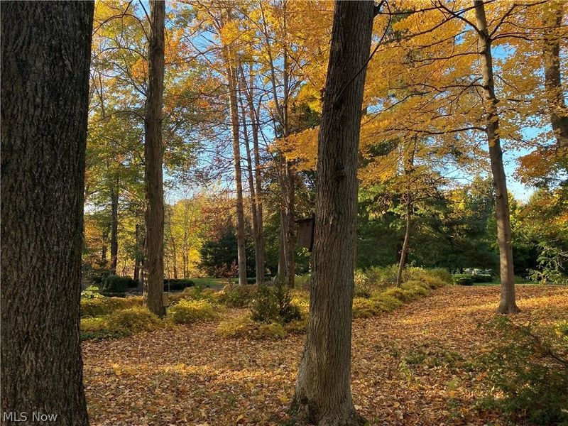 1200 Yellow Creek Lane, Akron, OH 44333 Photo 37