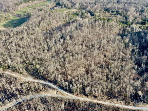 Lot#13 Mill Creek Rd, Sunbright, TN 37872