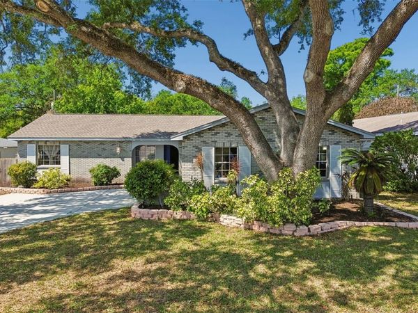 2210 LADYWOOD COURT , BRANDON, FL 33511