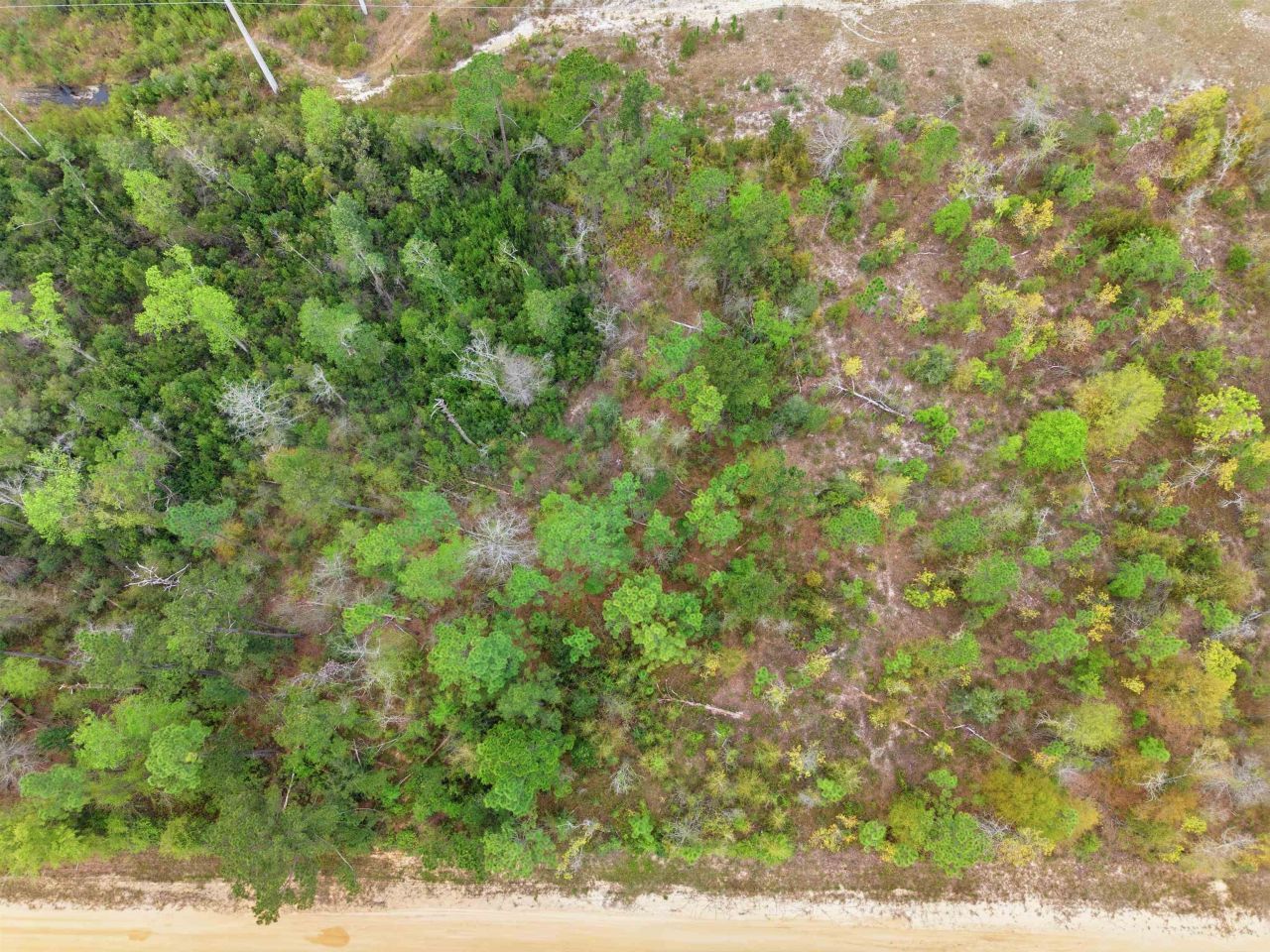 Tbd Channel Drive, Alford, FL 32420 Photo