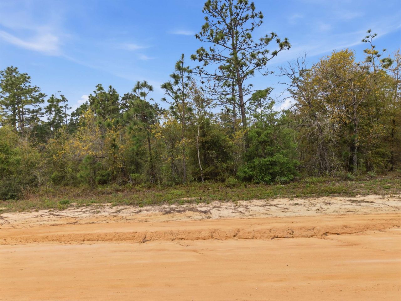 Tbd Channel Drive, Alford, FL 32420 Photo