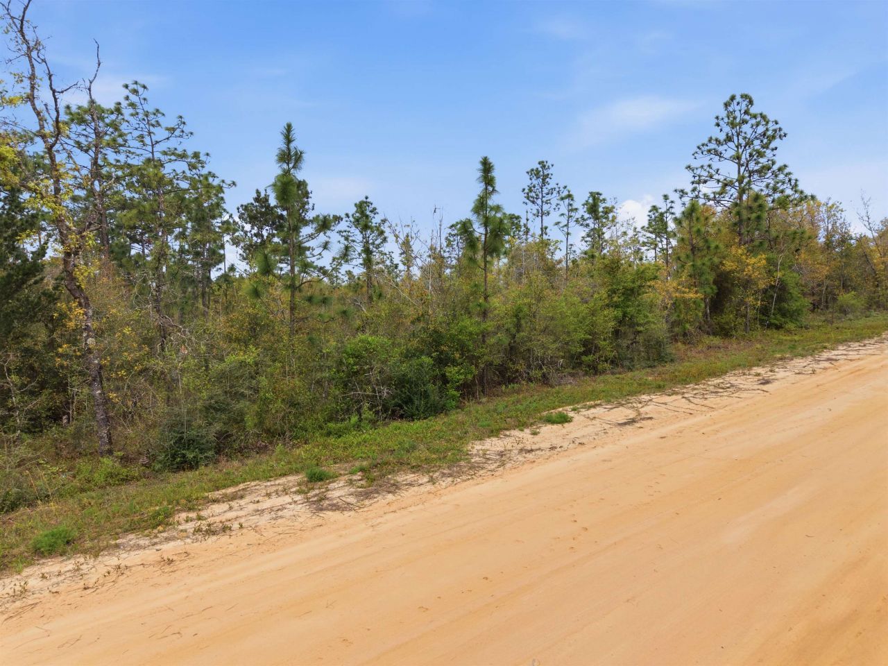 Tbd Channel Drive, Alford, FL 32420 Photo