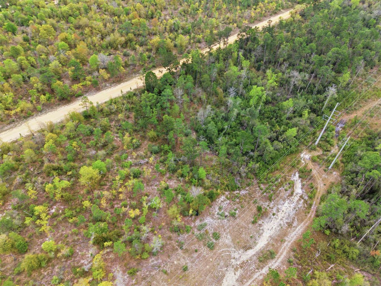 Tbd Channel Drive, Alford, FL 32420 Photo