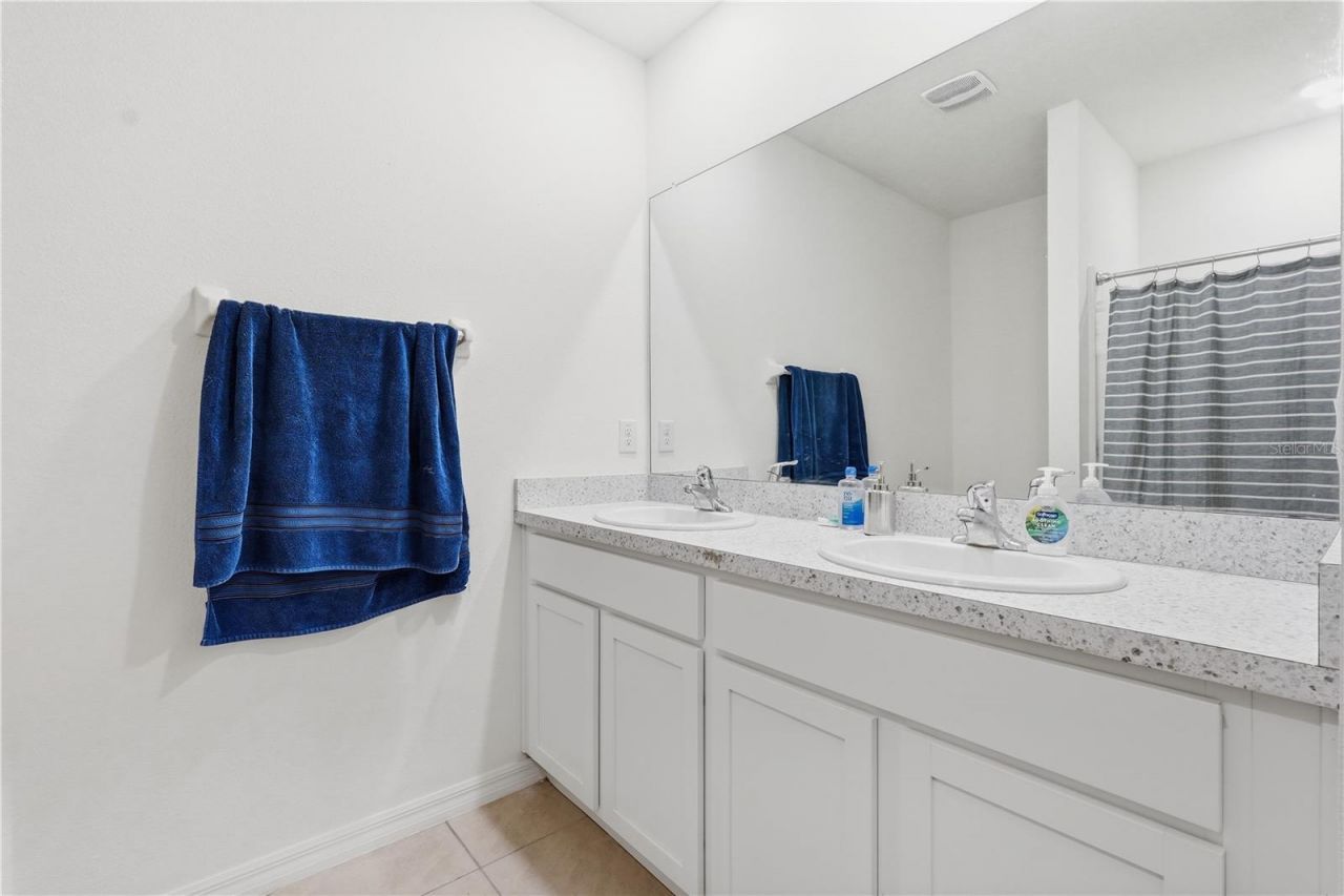 33922 Jasper Stone Drive, Wesley Chapel, FL 33543 Photo