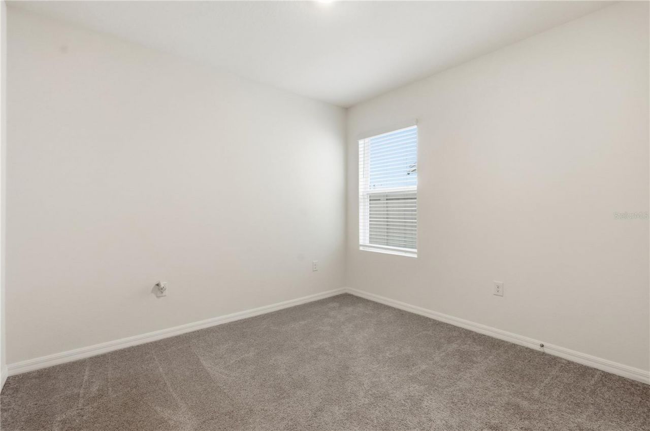 33922 Jasper Stone Drive, Wesley Chapel, FL 33543 Photo