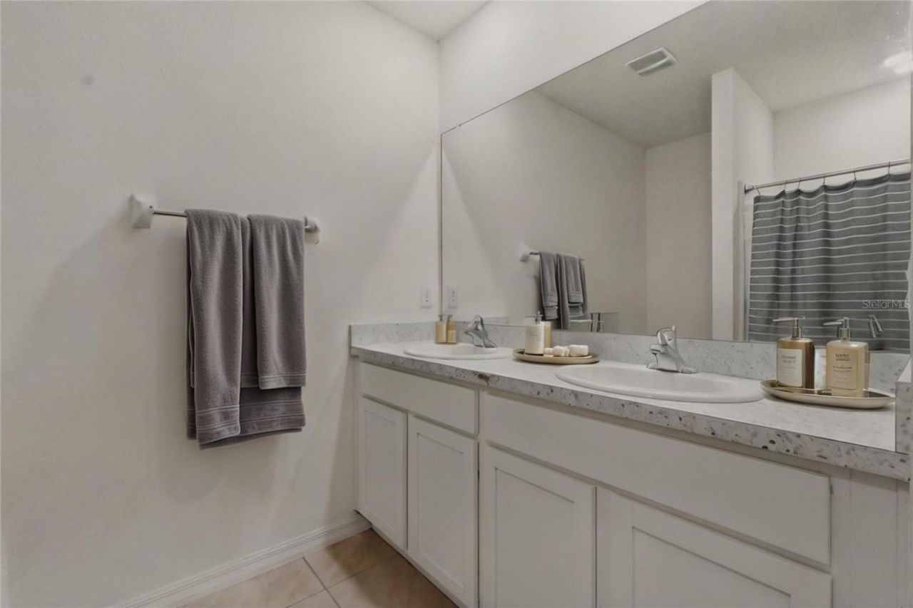 33922 Jasper Stone Drive, Wesley Chapel, FL 33543 Photo