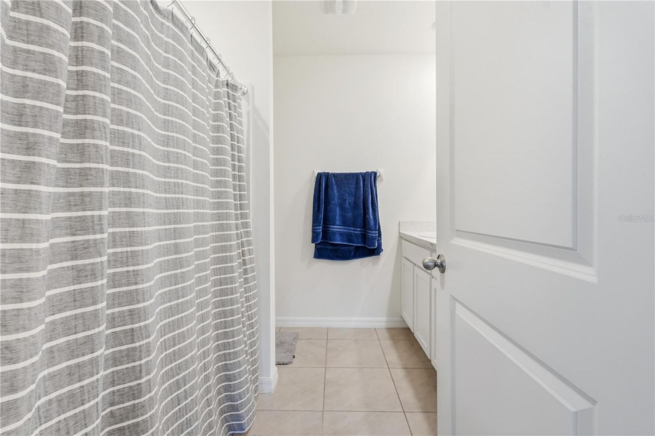 33922 Jasper Stone Drive, Wesley Chapel, FL 33543 Photo