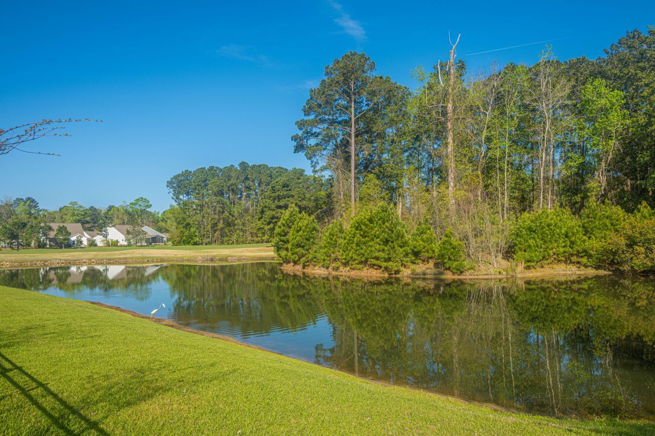 6228 Woodsedge Court Photo 53